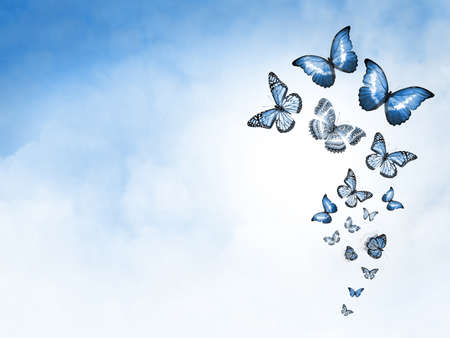 Color sky with clouds and butterflies as backgroundの写真素材