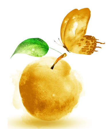 Watercolor apple and butterfly on whiteの写真素材