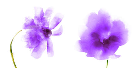 Watercolor flowers, isolated on white backgroundの写真素材
