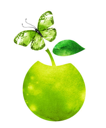 Watercolor apple and butterfly on whiteの写真素材