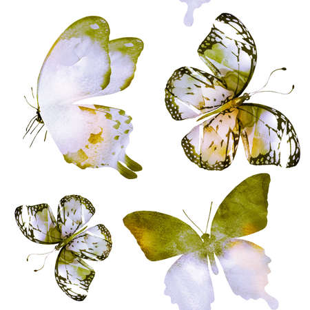 Watercolor seamless pattern with butterfliesの写真素材