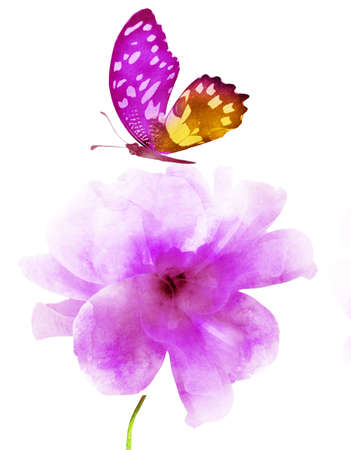 Watercolor flower with butterfly, isolated on white backgroundの写真素材