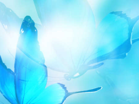 Natural background with natural butterflyの写真素材