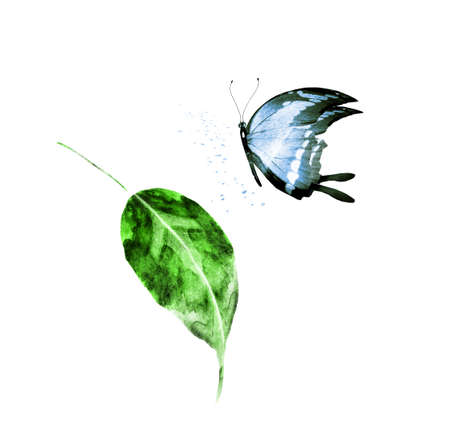 Watercolor leaf with butterfly on the white background