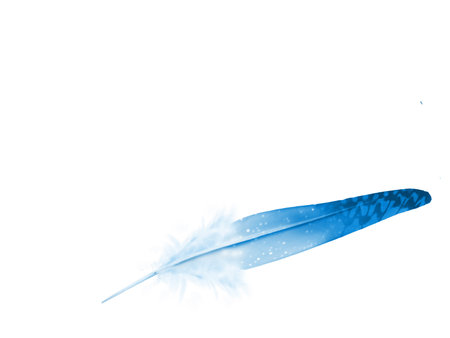 Beautiful color feather isolated on white backgroundの写真素材