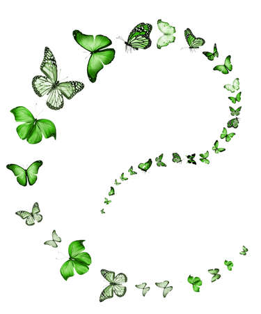 Flock of flying butterflies isolated on whiteの写真素材