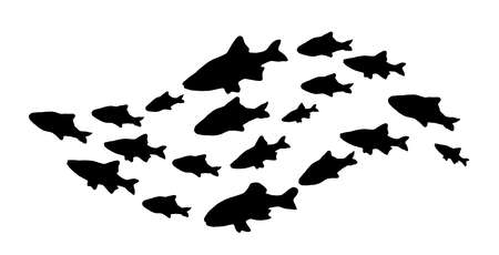 Silhouettes of groups of fishes on white. Vectorの写真素材