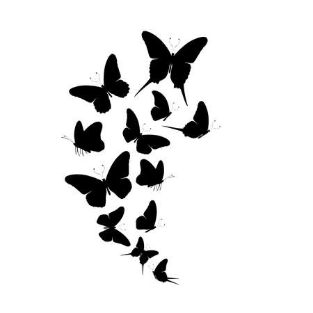 Flock of silhouette black butterflies on white backgroundの写真素材