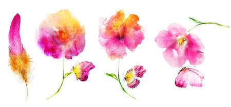 Watercolor flowers, butterflies and feather isolated on white background. Set. Bright collectionの写真素材