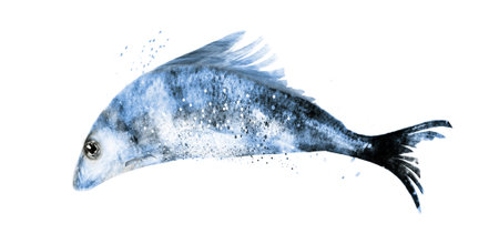 Watercolor fish on white backgroundの写真素材
