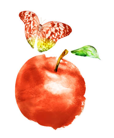 Watercolor apple and butterfly on whiteの写真素材