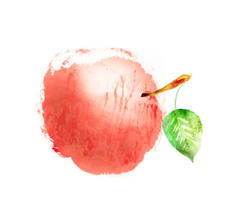 Watercolor apple on whiteの写真素材