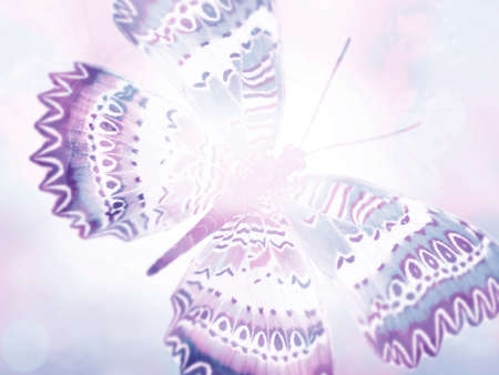 Natural background with natural butterflyの写真素材