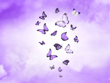 Color sky with clouds and butterflies as backgroundの写真素材