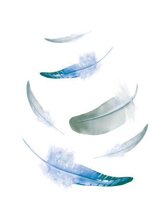 Beautiful color feathers isolated on white backgroundの写真素材