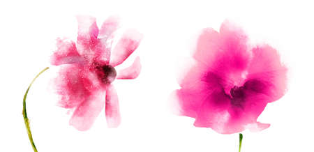 Watercolor flowers, isolated on white backgroundの写真素材