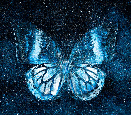 Universe starry sky with butterflyの写真素材