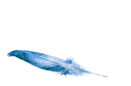 Watercolor feathers, isolated on white backgroundの写真素材