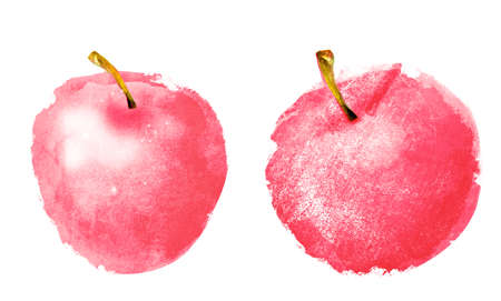 Watercolor apples on white backgroundの写真素材