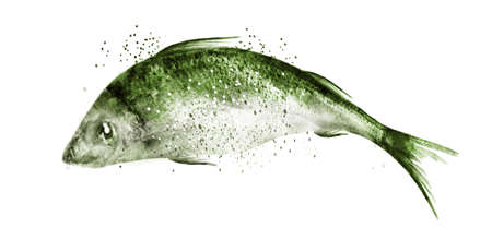 Watercolor fish on white background