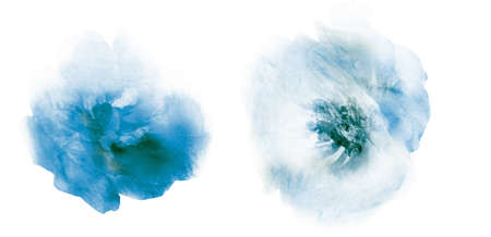 Watercolor flowers, isolated on white backgroundの写真素材