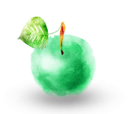 Watercolor apple on whiteの写真素材