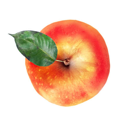 Color apple on white backgroundの写真素材