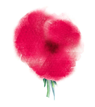 Watercolor flower, isolated on white backgroundの写真素材