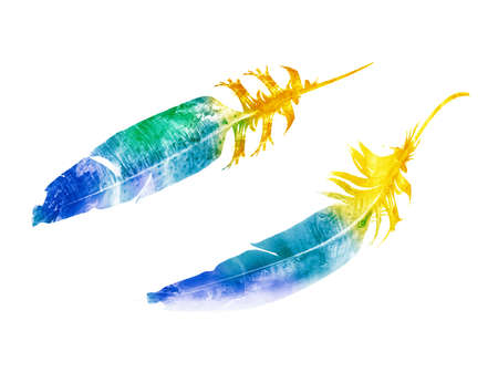 Watercolor feathers, isolated on white backgroundの写真素材