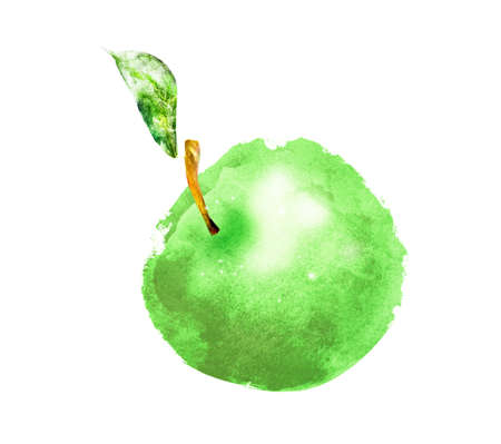 Watercolor apple on whiteの写真素材