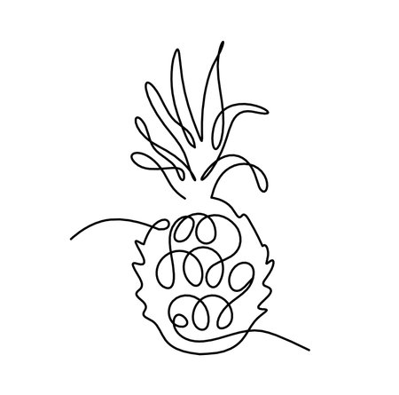 Drawing line pineapple on the white backgroundのイラスト素材