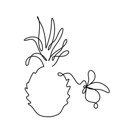 Drawing line pineapple and butterfly  on the white backgroundのイラスト素材
