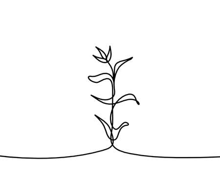 Abstract sprout as line drawing on the white backgroundのイラスト素材