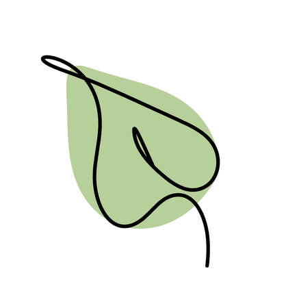 Abstract color leaf as line drawing on the white backgroundの写真素材