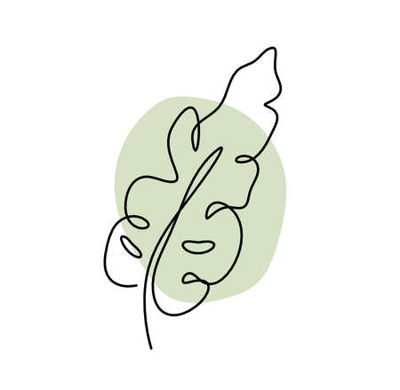 Abstract color leaf as line drawing on the white backgroundの写真素材