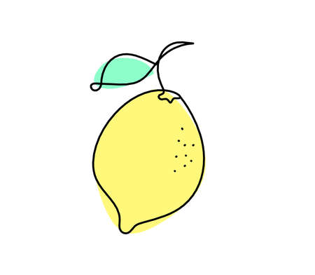 Color drawing line lemon on the white backgroundの写真素材