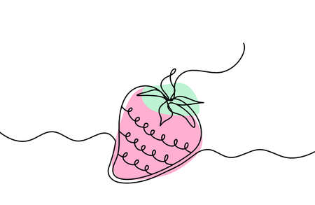 Drawing line of color strawberry on the white backgroundのイラスト素材