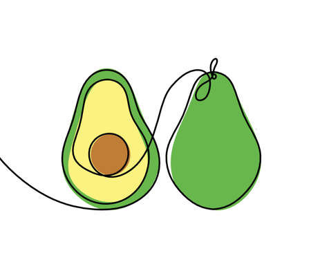 Drawing line color avocado on the white background