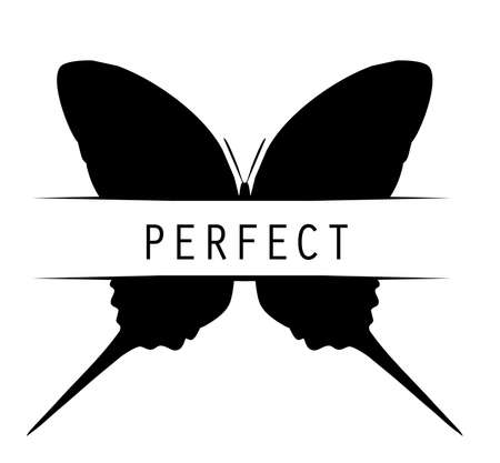 Butterfly with title "perfect", isolated on whiteのイラスト素材