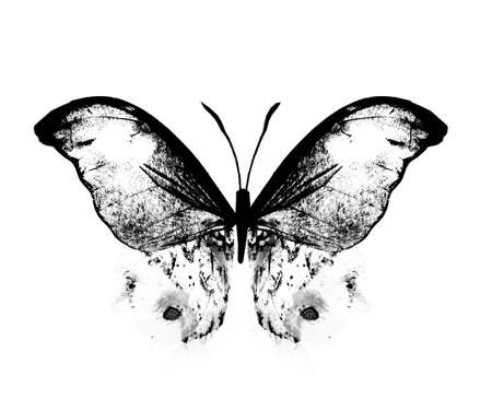 Black and white watercolor butterfly , isolated on the white backgroundの写真素材