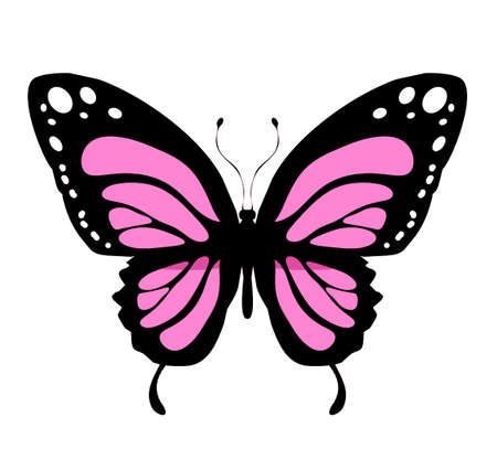 Color butterfly icon, isolated on white backgroundのイラスト素材