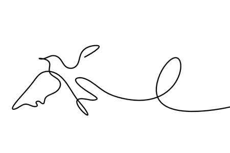 Silhouette of abstract flying bird in line on white backgroundのイラスト素材