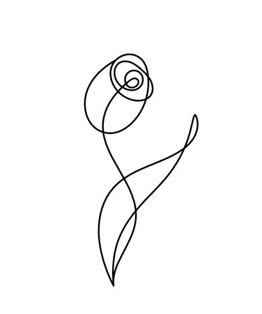 Abstract flower line drawing, isolated on white backgroundのイラスト素材