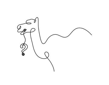 Silhouette of abstract camel with question mark as line drawing on whiteのイラスト素材