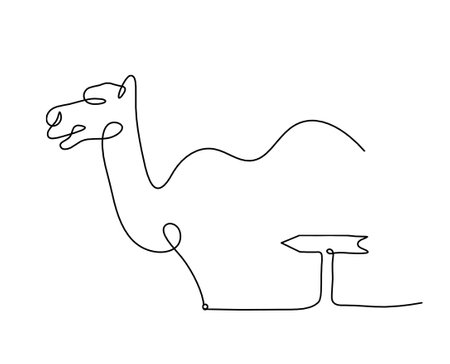 Silhouette of abstract camel with direction as line drawing on whiteのイラスト素材