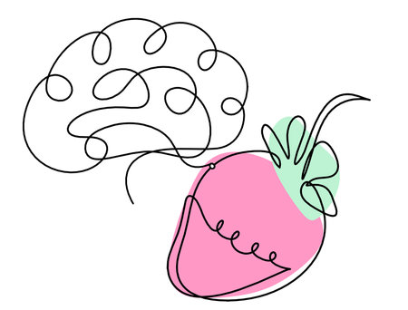 Drawing line of color strawberry and brain on the white backgroundの写真素材