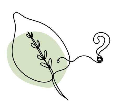 Abstract color leaf with question mark as line drawing on the white backgroundの写真素材