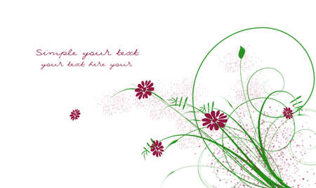 greeting card の写真素材