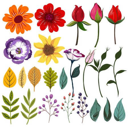 Floral collection with leaves, flowers and branchのイラスト素材