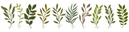 Vector botanic illustrations. Botanical clipart. Set of Green branches. Floral Herb Design elements. Perfect for wedding invitations, greeting cards, blogs, posters and more. Green watercolor branchesのイラスト素材